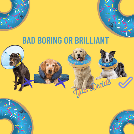Dog Donut Collar | Great Alternative to a Traditional Dog Cone or a Soft Dog Cone Collar | Our Inflatable Dog Cone is an Excellent Cone for Dogs after Surgery | Dog Cones for Large Dogs (Blue) - Open Box