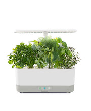 AeroGarden Harvest Slim Hydroponic Indoor Garden - White