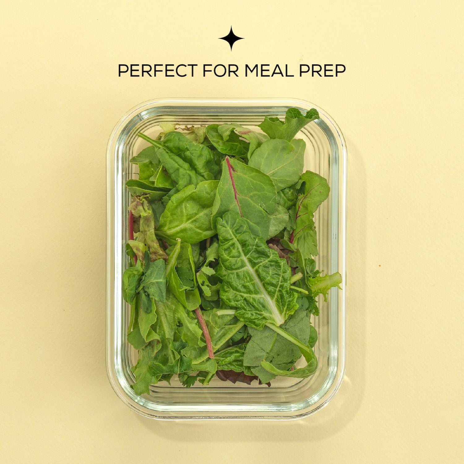 JoyJolt Food Prep Storage Containers, Set of 5