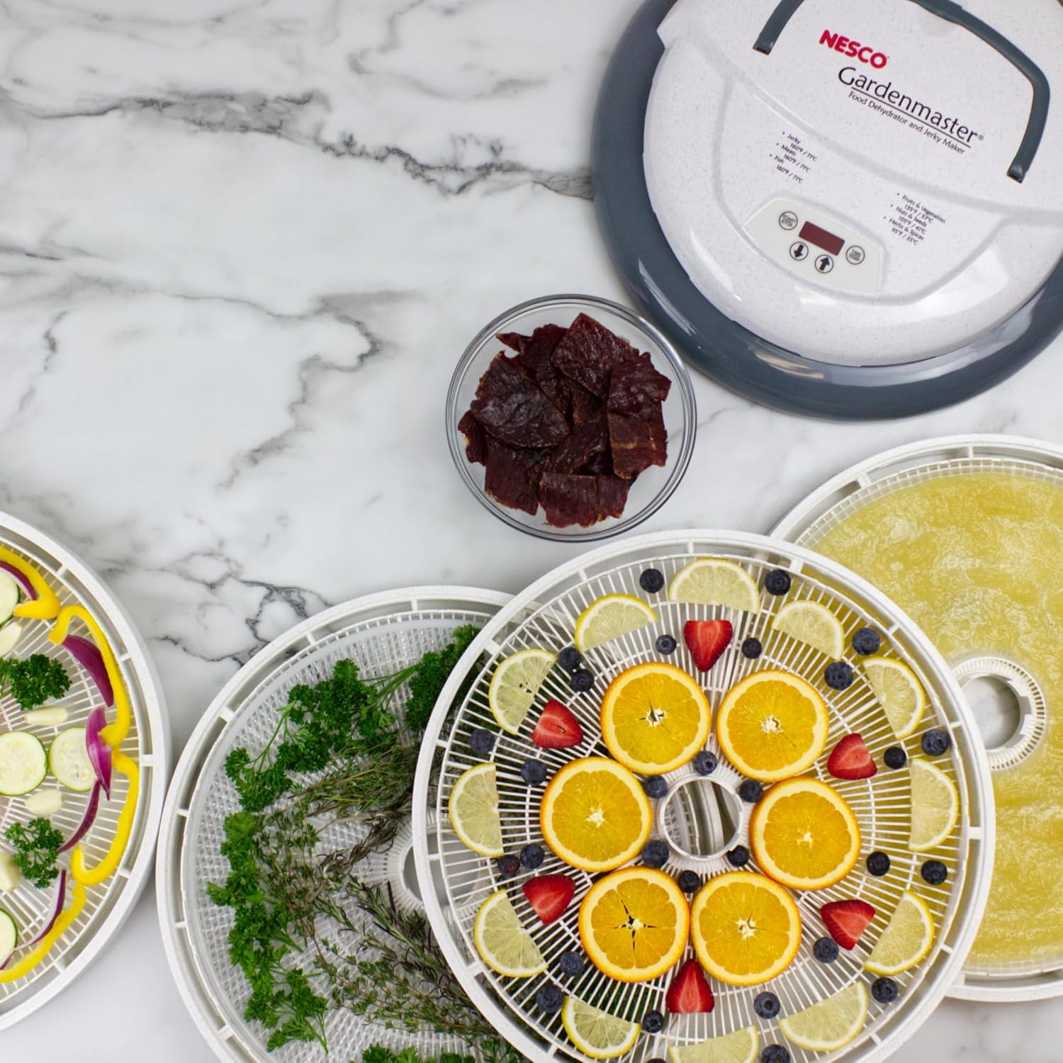 Nesco Gardenmaster White 9 qt Food Dehydrator