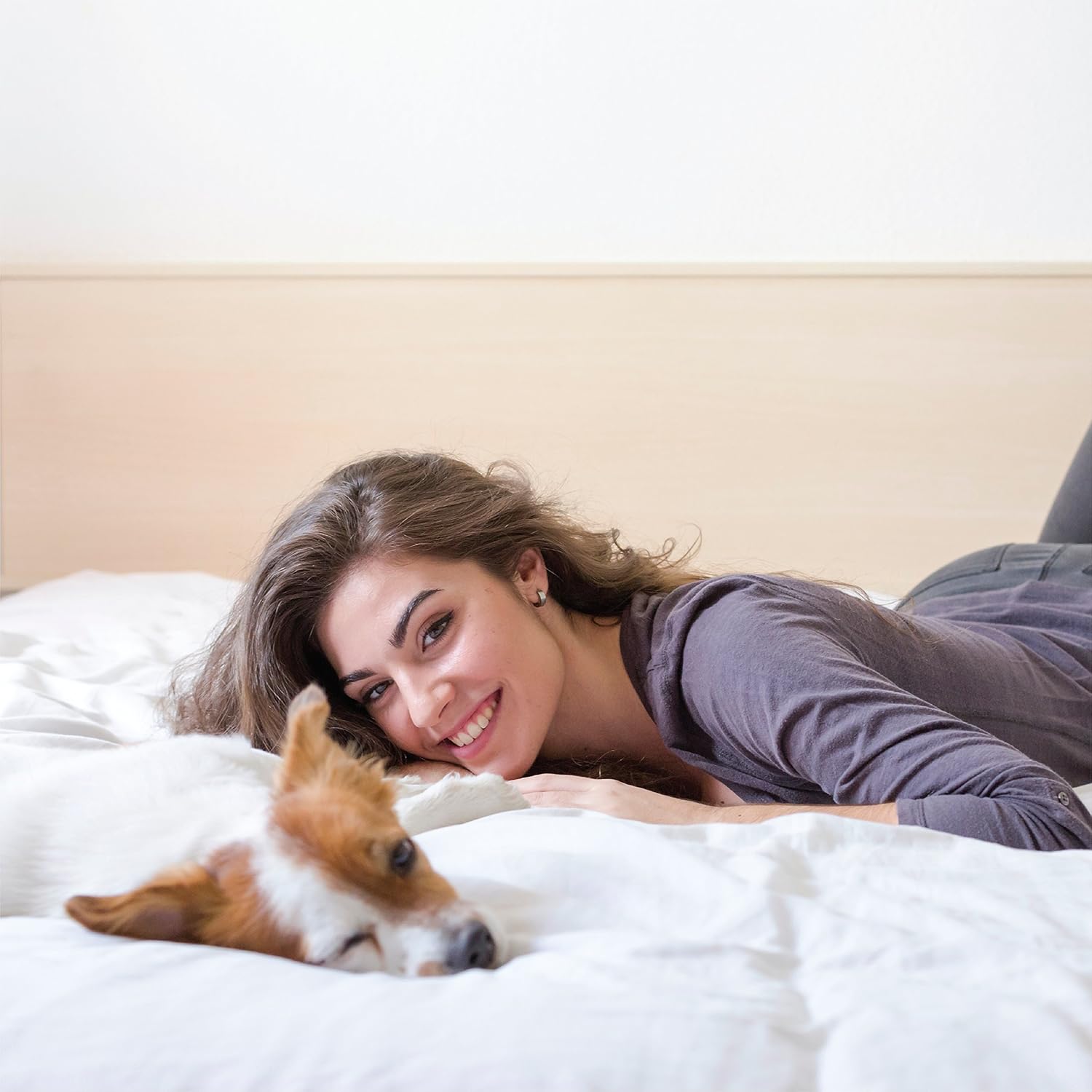 ienjoy Home IEH Navy 3 Piece Home Collection Premium Luxury Double Brushed Duvet Cover Set, Twin XL D13 - Twin Gold