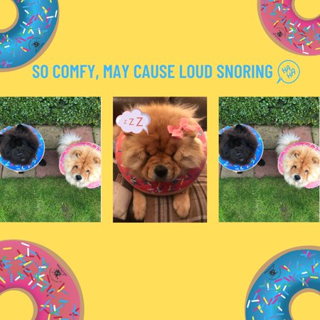 Dog Donut Collar | Great Alternative to a Traditional Dog Cone or a Soft Dog Cone Collar | Our Inflatable Dog Cone is an Excellent Cone for Dogs after Surgery | Dog Cones for Large Dogs (Blue) - Open Box