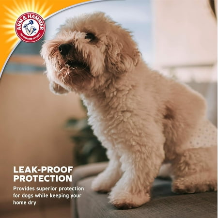 Arm & Hammer Female Dog Diapers, Size Large, 12 Count | Ultra-Absorbent with Leak-Proof Protection - Open Box